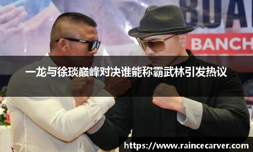 一龙与徐琰巅峰对决谁能称霸武林引发热议